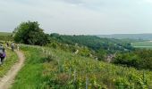 Excursión Senderismo Crouttes-sur-Marne - Crouttes-sur-Marne du 20-05-2023 - Photo 1