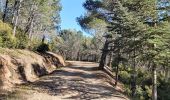 Trail Walking Caunes-Minervois - LaMatte_18/02/2023 - Photo 14