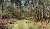 Randonnée Marche Compiègne - en forêt de Compiègne_48_sur les Routes de la Mariolle et du Grand Veneur - Photo 9