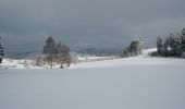 Tocht Te voet Meschede - Wanderweg Freienohl-Hellefeld - Photo 3