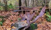 Tour Wandern Anthisnes - Boucle de la Bégasse  - Photo 5