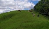 Tocht Stappen Sare - col de lizarrieta et col des 3 bornes - Photo 10