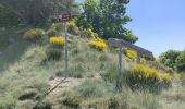 Randonnée Marche Labastide-sur-Bésorgues - la Bastide sur bezorgie - Photo 14