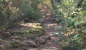 Trail Walking La Valette-du-Var - Le petit Coudon - Photo 2