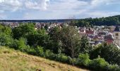 Percorso A piedi Burglengenfeld - Panoramasteig im Städtedreieck (Dunkelblaue 6) - Photo 2