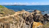 Tocht Stappen Ramatuelle - bonne terrasse Camarat - Photo 20