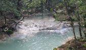 Randonnée Marche Nans-les-Pins - Nans les pins - sources de l'huveaune - Photo 5
