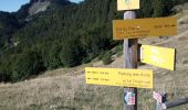 Tour Wandern Saint-Pierre-de-Chartreuse - Col du coq_Dent de Crolles_Le Prevouta - Photo 13