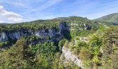 Tour Wandern Villard-de-Lans - Villard de Lans - Balcons et falaises de la Bourne - panorama  - Photo 16