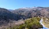 Randonnée Marche Mont Lozère et Goulet - Oultet/Lozerette/Les Sagne/Auriac - Photo 14