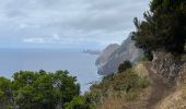 Trail Walking Porto da Cruz - Machico to Porto Da Cruz - Photo 3