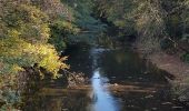 Trail Walking Baelen - Membach - Limbourg - Barrage de la Gileppe - Photo 20