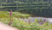 Excursión Senderismo La Bresse - BREITSOUZE - DE LA SOURCE DE LA MOSELOTTE AU LAC DE LA LANDE - Photo 6