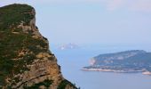 Randonnée Marche Cassis - Cassis - La couronne de Charlemagne - Cap canaille - Photo 17