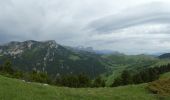 Randonnée Marche Châtillon-en-Diois - Montagne de Beaupuy - Nonnières - Photo 16