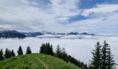 Tour Wandern Bernex - Boucle depuis Pre Richard.. - Photo 15