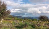 Tour Wandern L'Albère - autour de St Martin l'albere et puig forcadell  - Photo 10