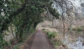 Tocht Stappen Woking - Lac de Goldsworth park par le canal  - Photo 1