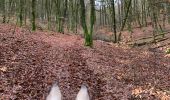 Trail Horseback riding Bastogne - Livarchamps décembre 2020 - Photo 4