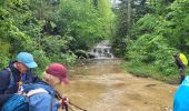 Trail Walking Coyron - coyron - Photo 4