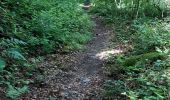 Trail Walking Landrichamps - Landrichamps 100622 - Photo 17