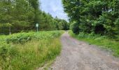 Tocht Stappen Bièvre - Naome 070724 - Photo 11