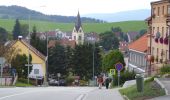 Tour Zu Fuß Schwarzbach - Naučná stezka Trasa A - Photo 7