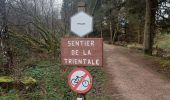 Trail Walking Waimes - Sourbtodt M03 - Photo 4