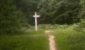 Trail Walking Compiègne - Randonnée en Forêt de Compiègne_51_le Mont du Tremble et les Beaux Monts - Photo 15