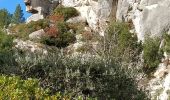 Tour Wandern Les Baux-de-Provence - Sentier Les Baux de Provence  - Photo 9