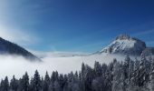 Randonnée Ski de randonnée Saint-Pierre-de-Chartreuse - arguille - Photo 13