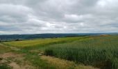 Excursión Senderismo Apremont-la-Forêt - fort liouville - Photo 4
