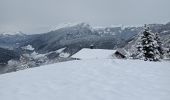 Randonnée Raquettes à neige Le Grand-Bornand - Le Balcon des Aravis - Photo 4