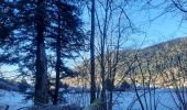 Trail Walking Rochesson - cascade de Battion  - Photo 15