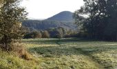 Trail Walking Liège - petit tour dominical coteaux batte  - Photo 10