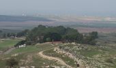 Tour Zu Fuß Regionalverwaltung Mateh Jehuda - יער הנשיא - ירוק - Photo 9