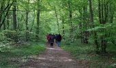 Tocht Stappen L'Isle-Adam - J muguet - Photo 1