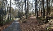 Randonnée Marche Malmedy - ligneuville - ondeval  aller retour  - Photo 10