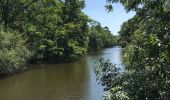 Tour Wandern Guémené-Penfao - 03.07.2019 - AUTOUR DE GUÉMENÉ-PENFAO - Photo 11