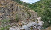 Randonnée Marche Pont de Montvert - Sud Mont Lozère - arsel du pt de montvert a bedoues - Photo 3