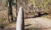 Tour Wandern Neupré - trek GR57 étape 2 : roche aux faucons (Esneux) . Comblain-au-Pont  - Photo 13