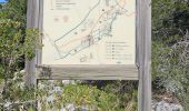Trail Walking Plan-d'Aups-Sainte-Baume - Plan d'Aups-Sainte Baume - Photo 10
