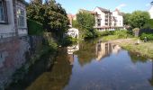 Tour Wandern Sentheim - Marché de Masevaux bilan carbone : 0 - Photo 2