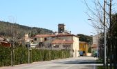 Trail On foot Vicopisano - 