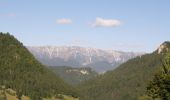 Trail On foot Unknown - Moieciu de Sus - Șaua Batrâna - Hotel Peștera - Photo 1