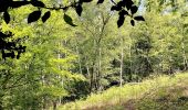 Tour Zu Fuß Gevelsberg - Aske Rundweg A4 - Photo 6