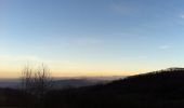 Trail On foot Hauenstein-Ifenthal - Ifenthal- Trimbach - Photo 2