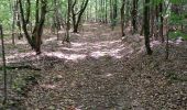 Excursión Bici de montaña Rambervillers - sortie vtt du 19082018 rambervillers - Photo 4