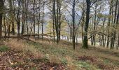 Trail Walking Aywaille - Boucle Aywaille - Photo 1