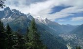 Excursión Senderismo Chamonix-Mont-Blanc - Buvette du Chapeau et Tête des Prapators 1844m - Photo 2
